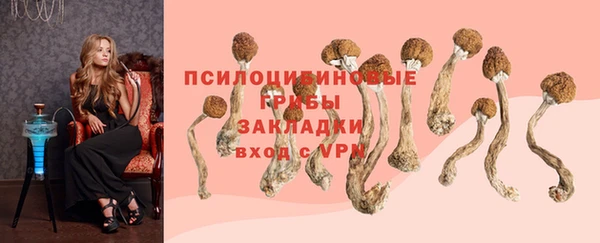 бутират Горняк