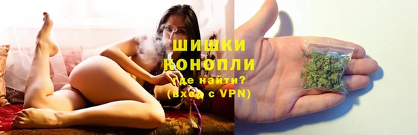 дживик Горнозаводск