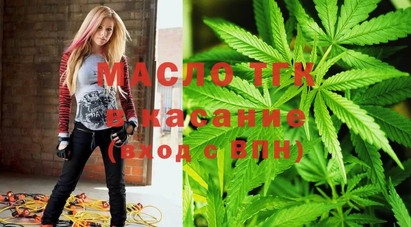 круглые Туринск